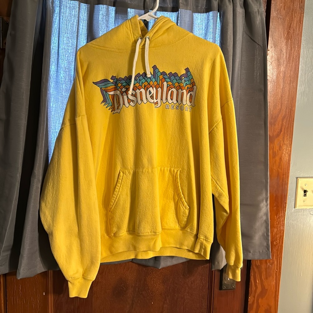 Disneyland Resorts Hoodie